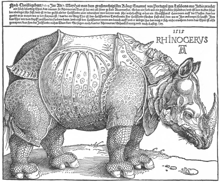 The Rhinoceros (1515), Albrecht Dürer