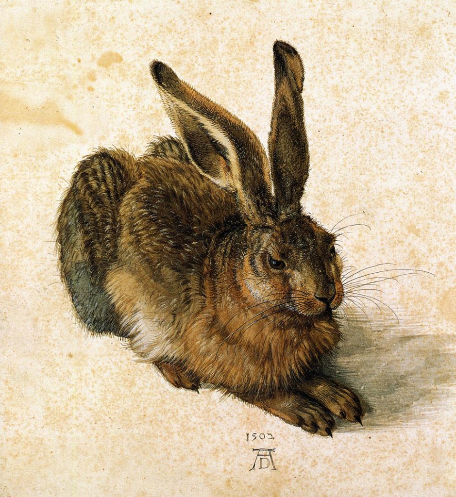 Young Hare (1502), Albrecht Dürer