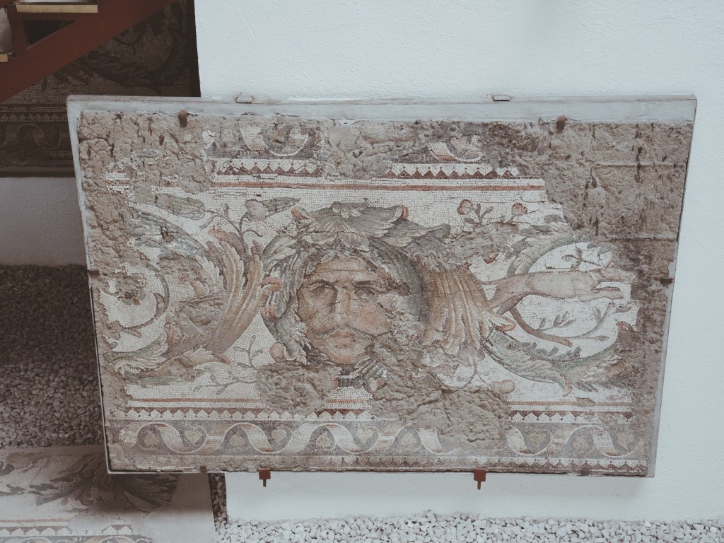 Büyük-saray-mozaikleri-müzesi-istanbul-baya-iyi-16