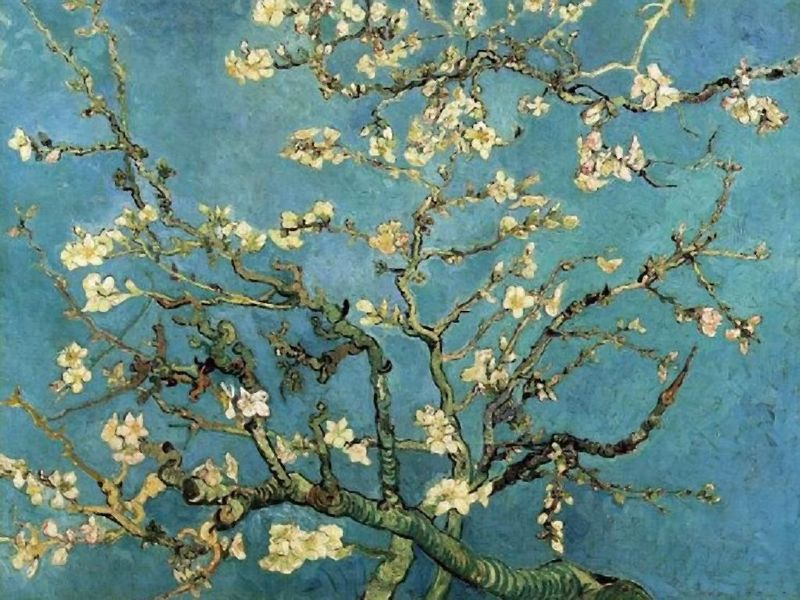 Almond Blossom, Vincent Van Gogh, Van Gogh Museum, Amsterdam, Hollanda