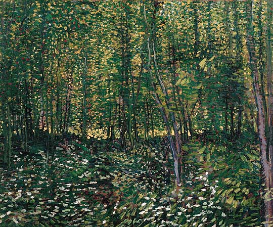 Trees and Undergrowth, Vincent Van Gogh, Van Gogh Museum, Amsterdam, Hollanda